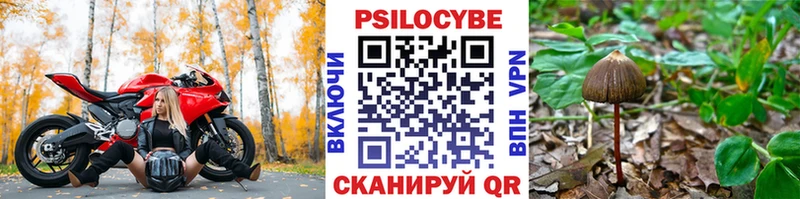 Галлюциногенные грибы ЛСД  Сыктывкар 